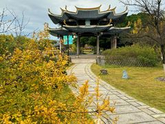 -江心屿景区