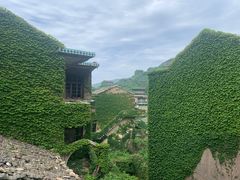 -枸杞岛