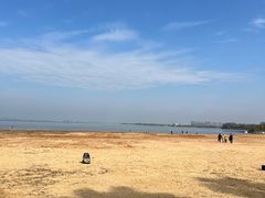 -瑶湖郊野森林公园