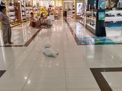 -开元商城(西旺店)