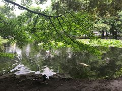 -北海道厅旧本厅舍(旧本庁舎)