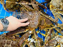 -船奇蒸汽海鲜·闽菜(八市海鲜总店)