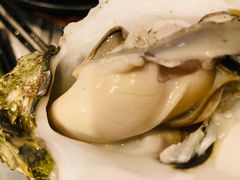 -土蚝·高压锅生蚝(百姓美食街店)