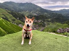 -龙脊梯田