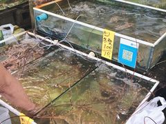 -拉威海鲜市场