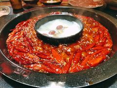 -渝大狮毛肚老火锅(普陀店)