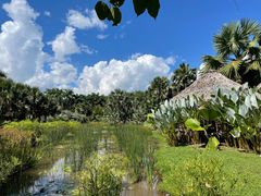 -中国科学院西双版纳热带植物园