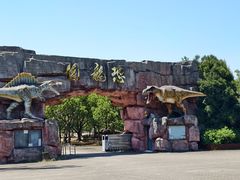 -上海海湾国家森林公园