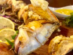 -茉莉.Red Crab