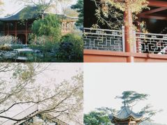-顺峰山公园