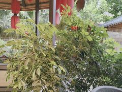 -醉月城西昌火盆烧烤(天府店)