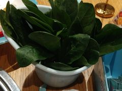 -青瓷火锅料理(西单大悦城店)