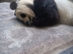 -宁波野生动物园