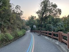 -杭州半山国家森林公园