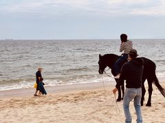 -玫瑰海岸文化旅游度假区