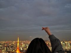 -六本木新城展望台(东京城市景观)