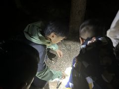 -绿橙国际幼儿园(汤泉逸墅校区)