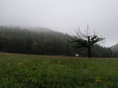 -驼梁风景区