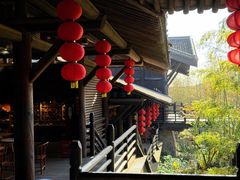 -大唐贡茶院