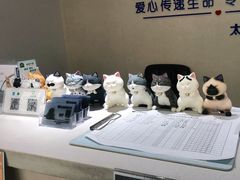 -太原东方动物医院(小店分院)