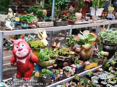 -双季花艺园艺市场(浦东店)