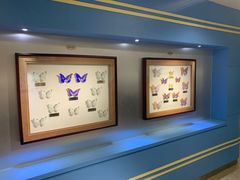 -上海昆虫博物馆