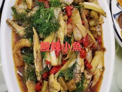 酸辣茴香小鱼-谢师酒家