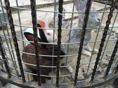 -上海滴水湖皇冠假日酒店