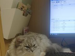 -瑞派康怡24h宠物医院·犬猫医疗中心·微创绝育(瑞景分院)