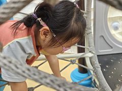 -海合安武汉极地海洋公园