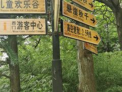 -梦幻奥陶纪景区