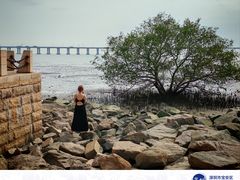 -宝安西湾红树林湿地公园