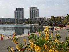 -尚贤河湿地