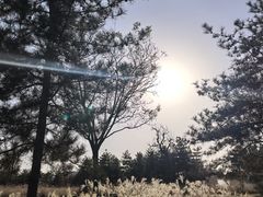 -汉长安城未央宫国家考古遗址公园