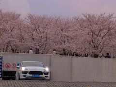 -龙美术馆(西岸馆)