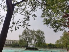 -大兴滨河森林公园