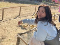 -盈香心动乐园