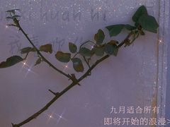 -Jo's Garden