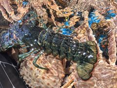 -巧克力渔家.小船海鲜胶东菜(万平口店)