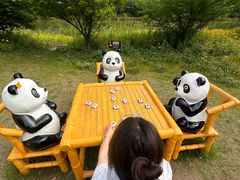 -苏州太湖国家湿地公园