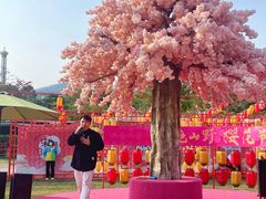 -盈香心动乐园