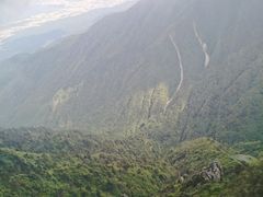 -野菌皇海景野生菌火锅(滨海大道店)