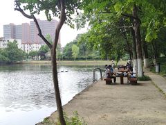 -安徽大学(龙河校区)