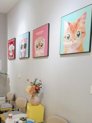 -洗脸猫·洗脸吧