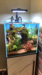 -Lumi露米·美甲美睫品质店