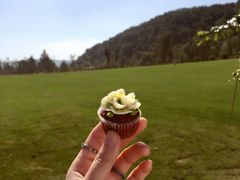 -BONCAKE裱花蛋糕(万象汇店)