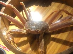 -綱元·海鲜豆捞(明州里店)