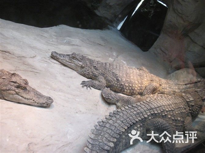 重庆动物园图片 - 第1张
