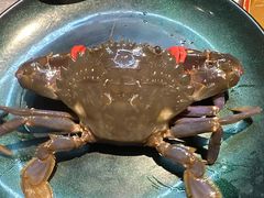 -五月罗马海鲜烤肉自助餐厅(印象城店)