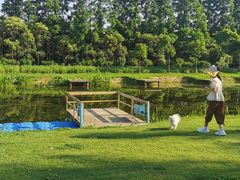 -前小桔亲子创意农场·草莓采摘·露营烧烤